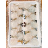 玻璃虎蝦(刺身級) (約20隻)