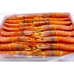 阿根庭特大紅蝦(刺身級) 2000克